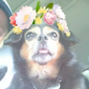 Meet your Posher, Savannah